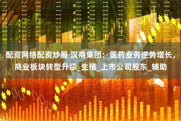 配资网络配资炒股 汉商集团：医药业务逆势增长，商业板块转型升级_生殖_上市公司股东_辅助