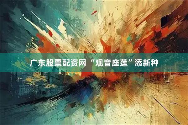广东股票配资网 “观音座莲”添新种