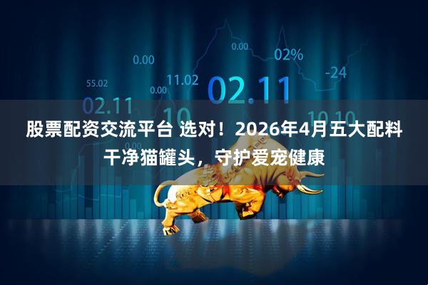 股票配资交流平台 选对！2026年4月五大配料干净猫罐头，守护爱宠健康